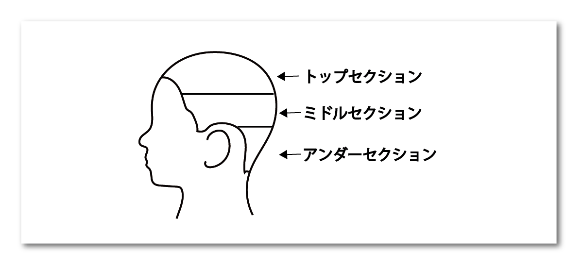 展開図の書き方 カット講習 カットスクール 日本カットアカデミー総合サイト